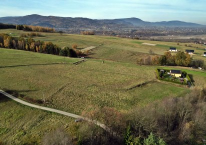 działka na sprzedaż - Radziechowy-Wieprz, Brzuśnik